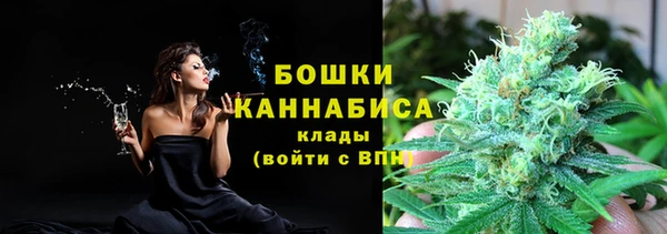 дмт Елабуга