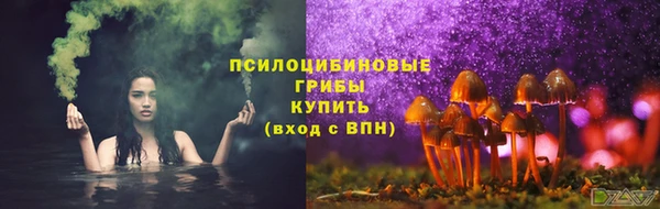 шишки Ельня