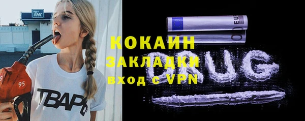 шишки Ельня