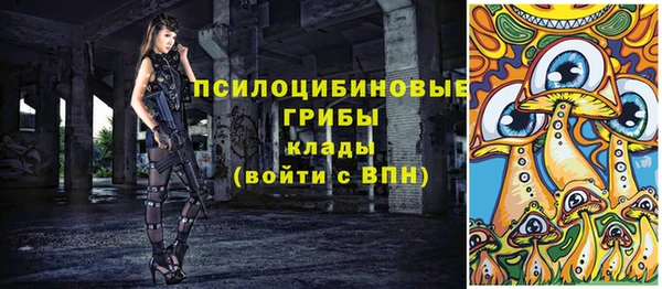 шишки Ельня