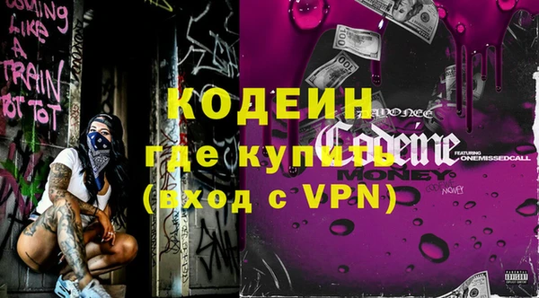 шишки Ельня