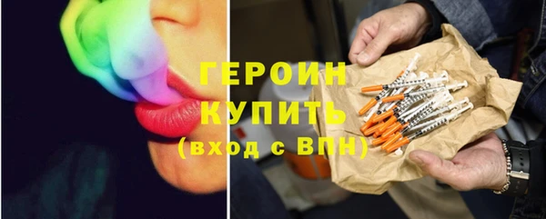 шишки Ельня