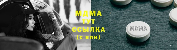 шишки Ельня