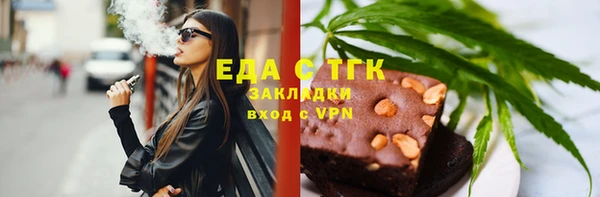 шишки Ельня