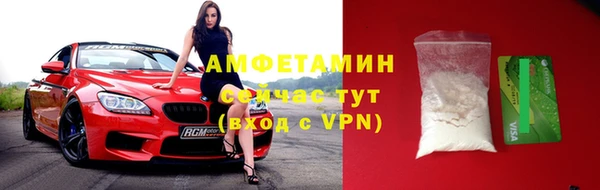 шишки Ельня