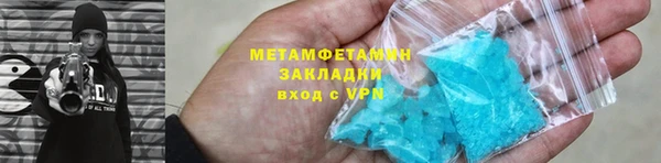 шишки Ельня