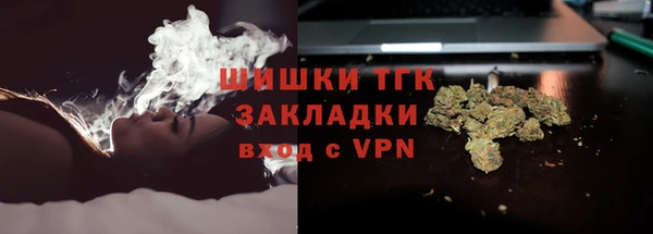 шишки Ельня