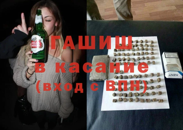шишки Ельня
