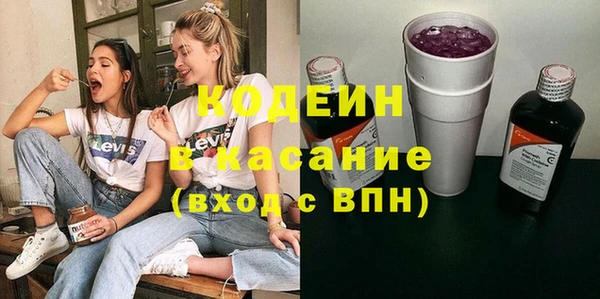 шишки Ельня