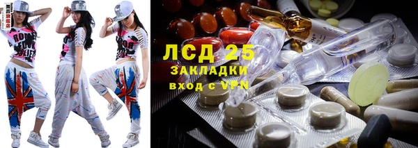шишки Ельня