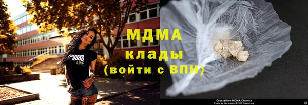 шишки Ельня