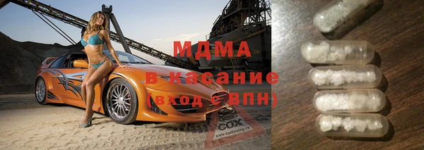 шишки Ельня