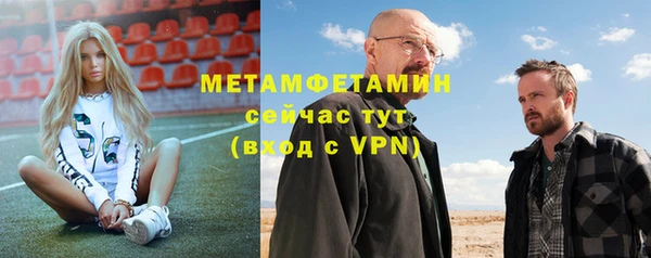 шишки Ельня