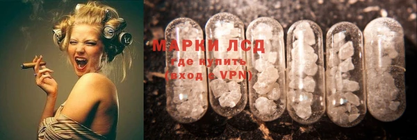 дмт Елабуга