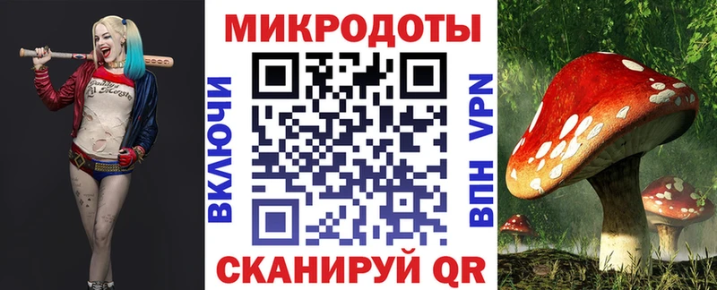 блэк спрут   Астрахань  Псилоцибиновые грибы Psilocybine cubensis 